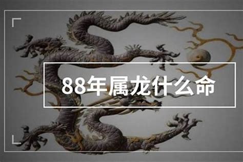 1988年属龙是什么命|1988年属龙的是什么命 1988年属龙的是什么命金木水火土